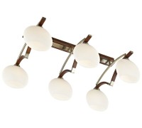 Потолочный светильник 269 269-527-06 Velante