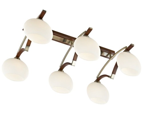 Потолочный светильник 269 269-527-06 Velante