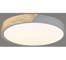 Потолочный светильник  445-227-01 Velante