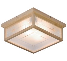 Потолочный светильник 548 548-717-02 Velante