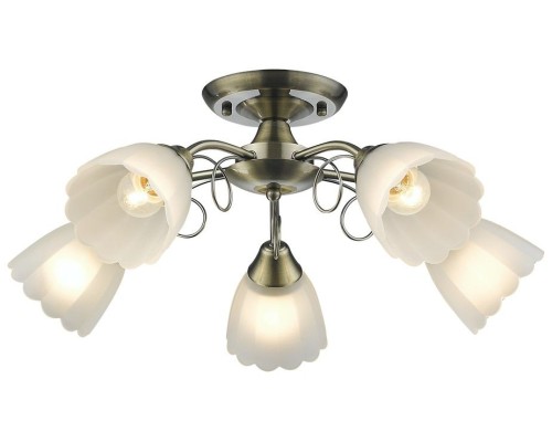 Потолочная люстра 708-507-05 Velante