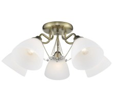 Потолочная люстра 727-507-05 Velante