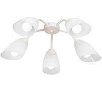 Потолочная люстра  V31950/5PL Vitaluce