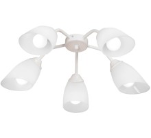 Потолочная люстра  V31950/5PL Vitaluce