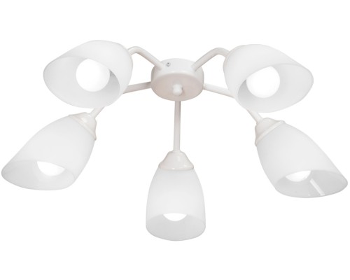 Потолочная люстра  V31950/5PL Vitaluce