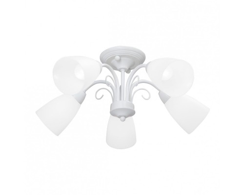 Потолочная люстра  V3499-0/5PL Vitaluce