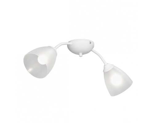 Потолочная люстра  V3737-0/2PL Vitaluce