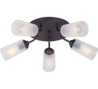 Потолочная люстра  V3762-1/5PL Vitaluce
