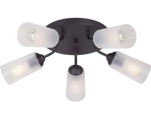 Потолочная люстра  V3762-1/5PL Vitaluce