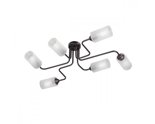 Потолочная люстра  V4310-1/6PL Vitaluce