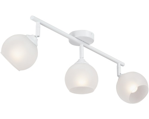 Спот  V4313-0/3PL Vitaluce