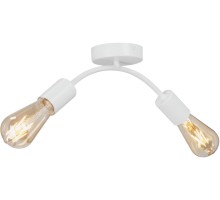 Потолочный светильник  V4989-0/2PL Vitaluce