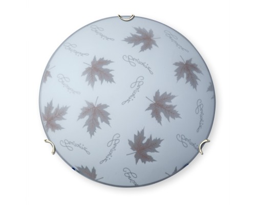 Настенно-потолочный светильник  V6285/2A Vitaluce