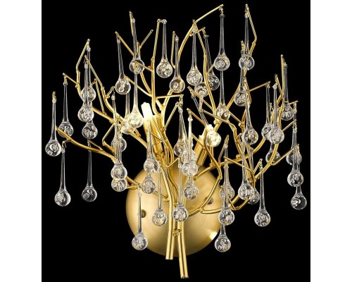 Настенный светильник Dionisia WE189.02.401 Wertmark