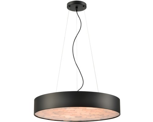 Подвесной светильник Edera WE510.01.723 Wertmark