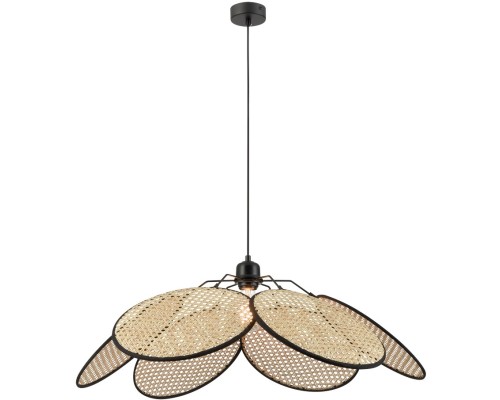 Подвесной светильник Palma WE520.01.716 Wertmark