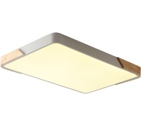 Потолочный светильник Alberro ZRS.01233.60 Zortes