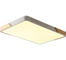 Потолочный светильник Alberro ZRS.01233.60 Zortes