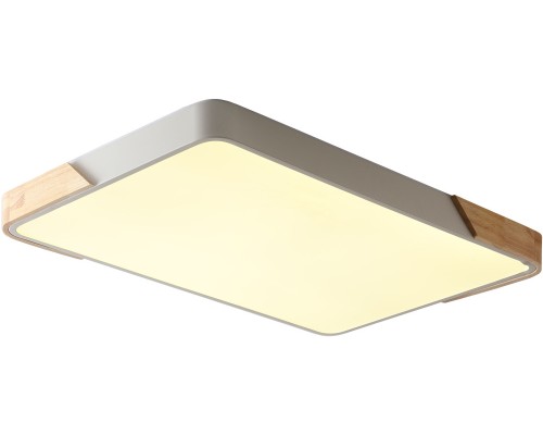 Потолочный светильник Alberro ZRS.01233.60 Zortes