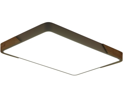 Потолочный светильник Alberro ZRS.01233.60 Zortes