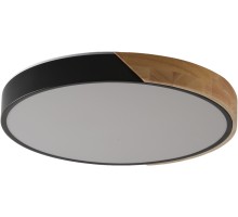 Потолочный светильник Alberro ZRS.01237.90 Zortes