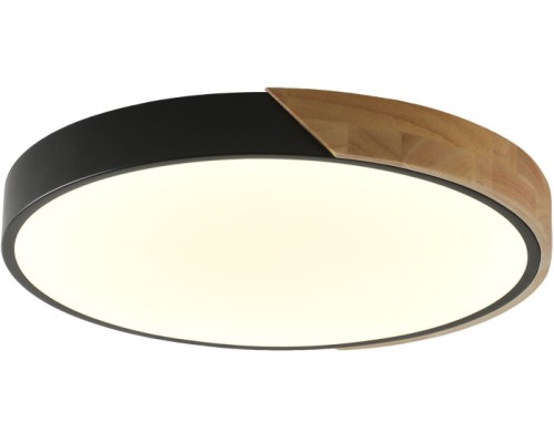 Потолочный светильник Alberro ZRS.01237.90 Zortes