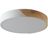 Потолочный светильник Alberro ZRS.01239.90 Zortes