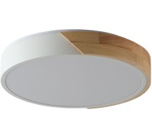 Потолочный светильник Alberro ZRS.01239.90 Zortes