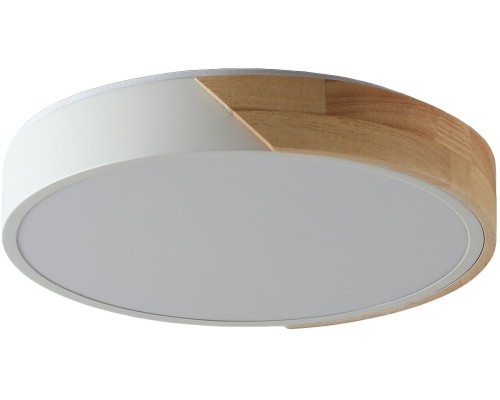 Потолочный светильник Alberro ZRS.01239.90 Zortes