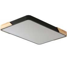 Потолочный светильник Alberro ZRS.01244.60 Zortes