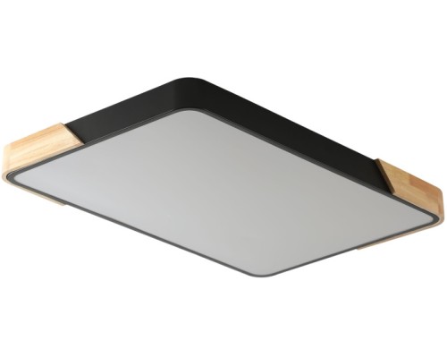 Потолочный светильник Alberro ZRS.01244.60 Zortes