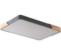 Потолочный светильник Alberro ZRS.01277.60 Zortes