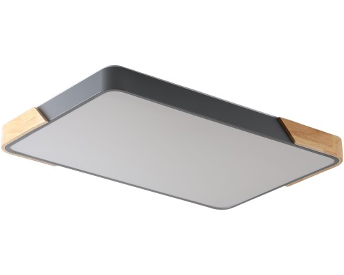 Потолочный светильник Alberro ZRS.01277.60 Zortes