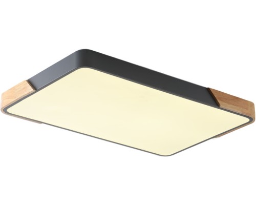 Потолочный светильник Alberro ZRS.01277.60 Zortes