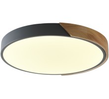 Потолочный светильник Alberro ZRS.01280.48 Zortes