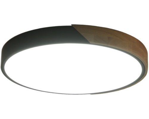 Потолочный светильник Alberro ZRS.01280.48 Zortes