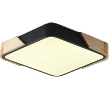 Потолочный светильник Alberro ZRS.01281.24 Zortes