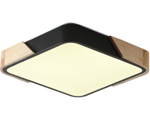 Потолочный светильник Alberro ZRS.01281.24 Zortes