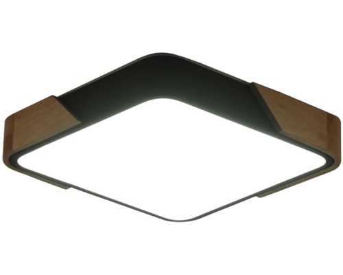 Потолочный светильник Alberro ZRS.01281.36 Zortes