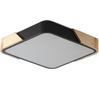 Потолочный светильник Alberro ZRS.01281.60 Zortes