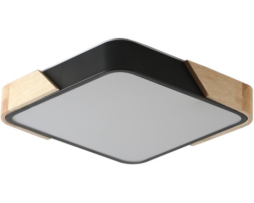 Потолочный светильник Alberro ZRS.01281.60 Zortes