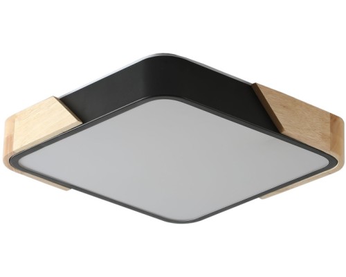 Потолочный светильник Alberro ZRS.01281.60 Zortes