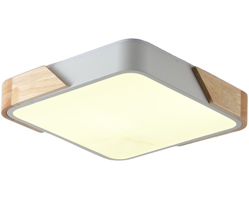 Потолочный светильник Alberro ZRS.01285.24 Zortes