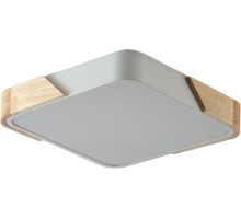 Потолочный светильник Alberro ZRS.01285.48 Zortes