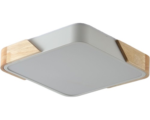 Потолочный светильник Alberro ZRS.01285.48 Zortes