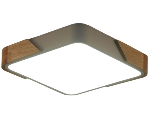 Потолочный светильник Alberro ZRS.01285.48 Zortes