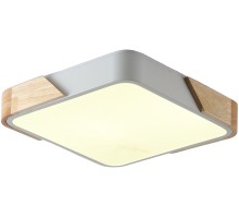 Потолочный светильник Alberro ZRS.01285.60 Zortes