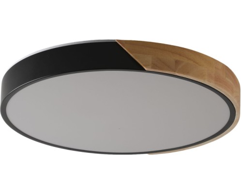 Потолочный светильник Alberro ZRS.01287.24 Zortes