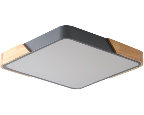 Потолочный светильник Alberro ZRS.01288.24 Zortes