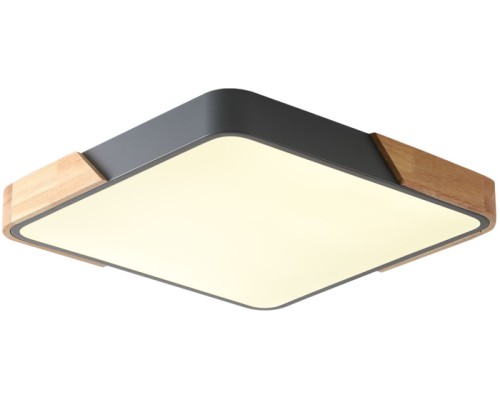 Потолочный светильник Alberro ZRS.01288.24 Zortes